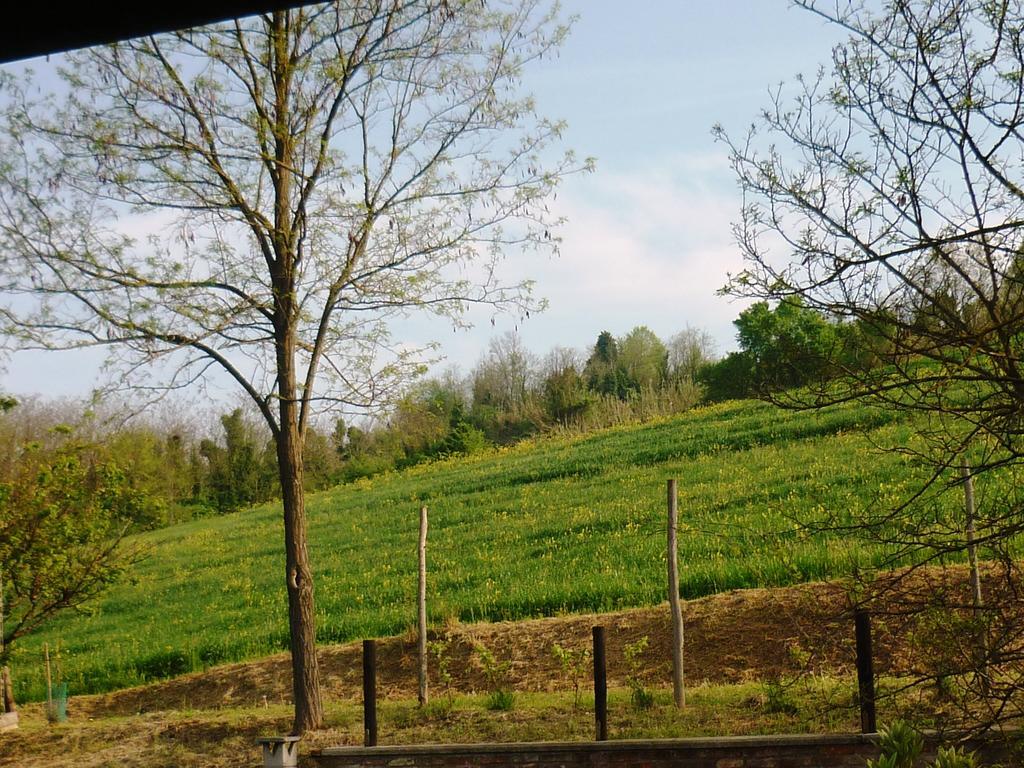 Bed And Breakfast Olimpia San Salvatore Monferrato Exterior photo