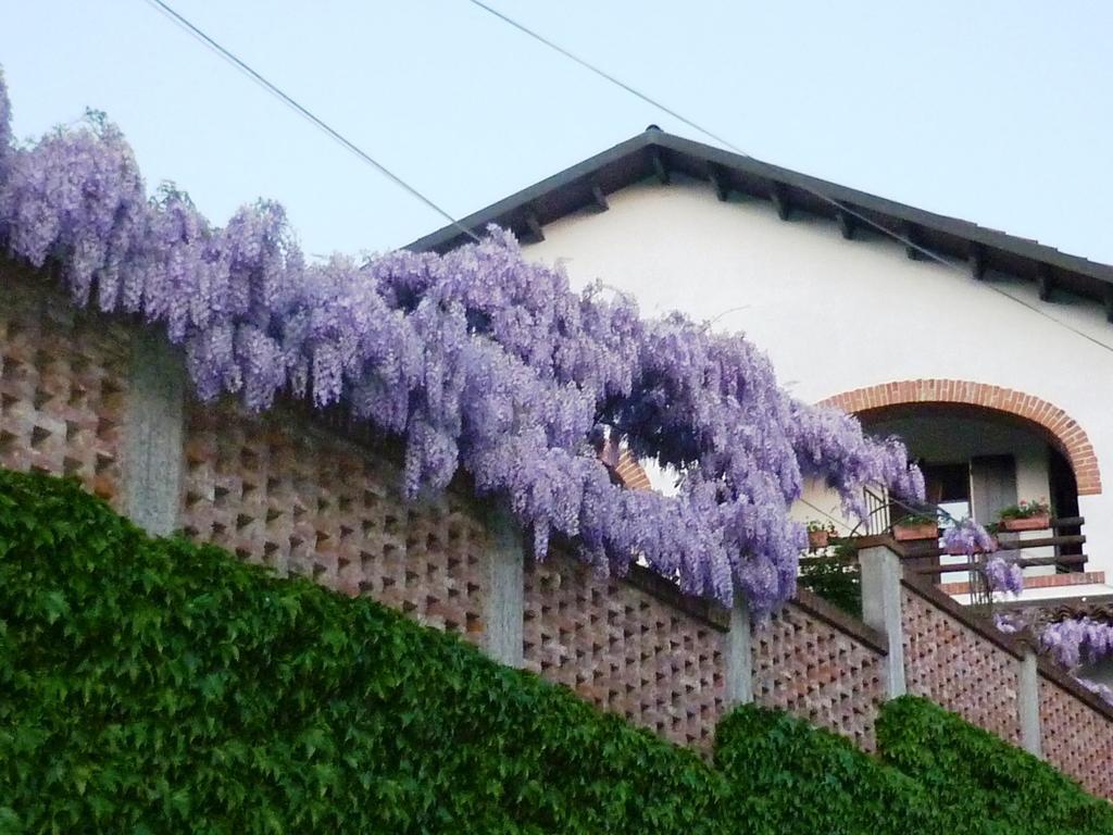 Bed And Breakfast Olimpia San Salvatore Monferrato Exterior photo
