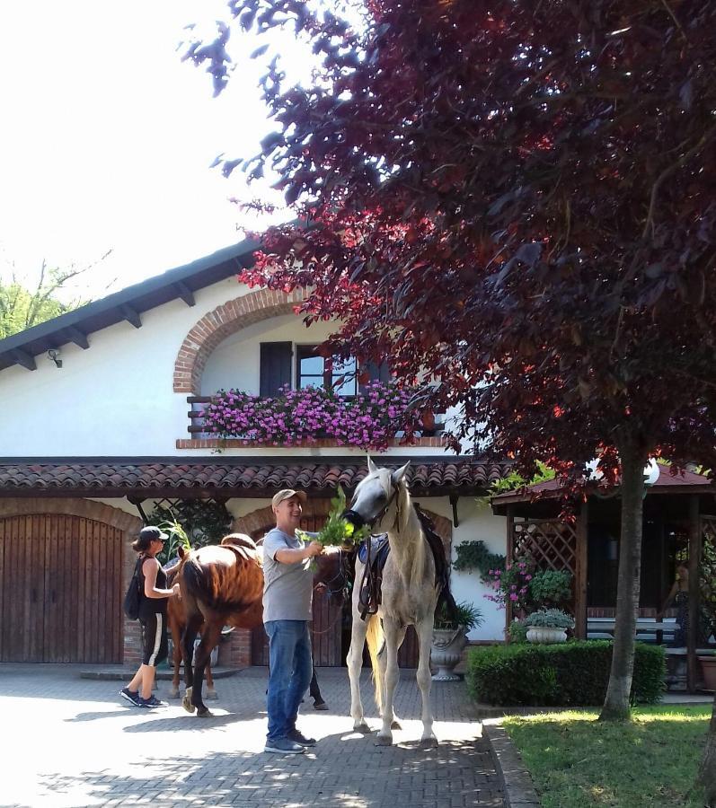 Bed And Breakfast Olimpia San Salvatore Monferrato Exterior photo